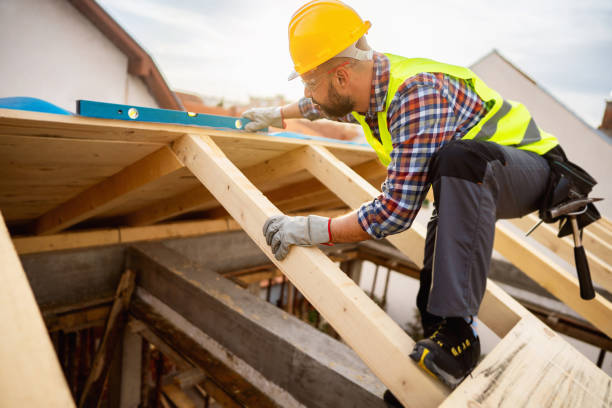 Best Roof Maintenance Services  in Rio Grande City, TX