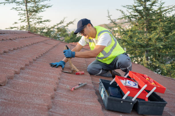 Best Residential Roofing Contractor  in Rio Grande City, TX