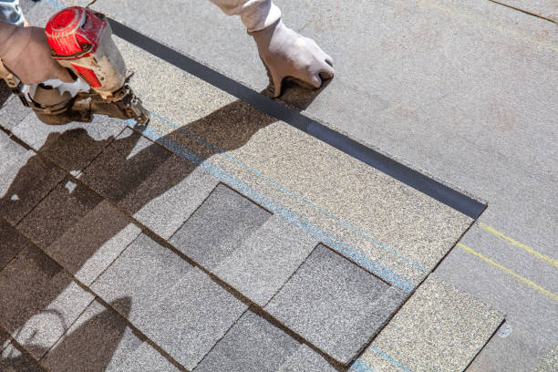 Best Commercial Roofing Services  in Rio Grande City, TX