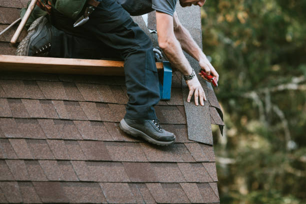 Best Storm Damage Roof Repair  in Rio Grande City, TX