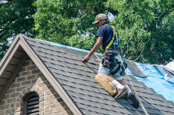 Best Shingle Roofing Installation  in Rio Grande City, TX